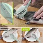 Grattoir-a-ecailles-de-poisson