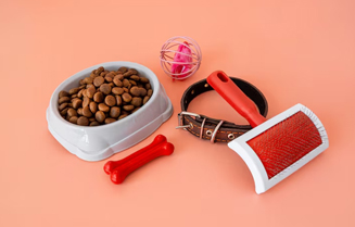 accessoire-animalerie ExpertDeal