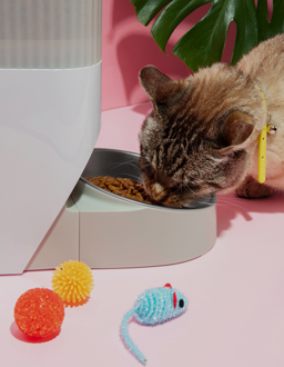 produits animalerie ExpresDeal